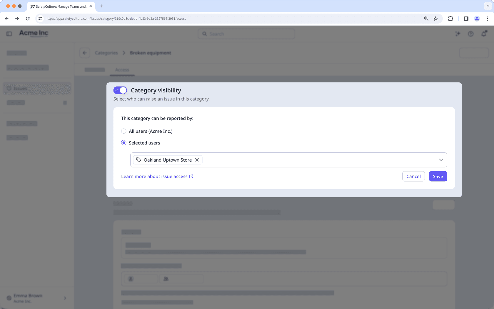 The Issues access page showing the category visibility section.
