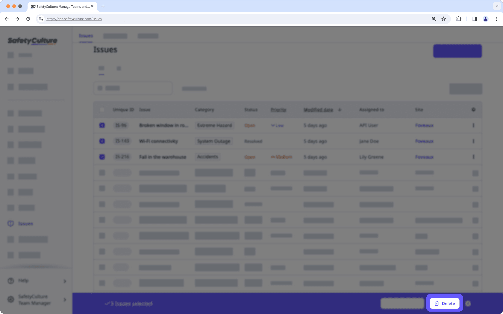 Bulk delete issues via the web app.