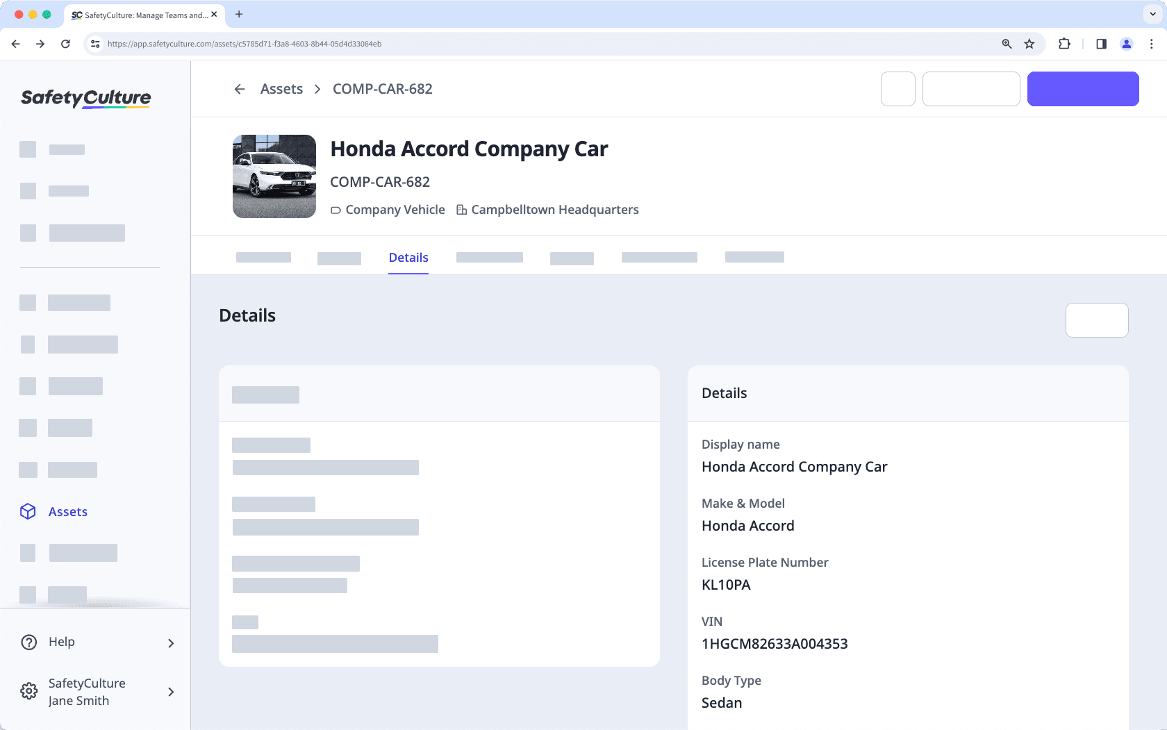 An example of detail fields in an asset profile.
