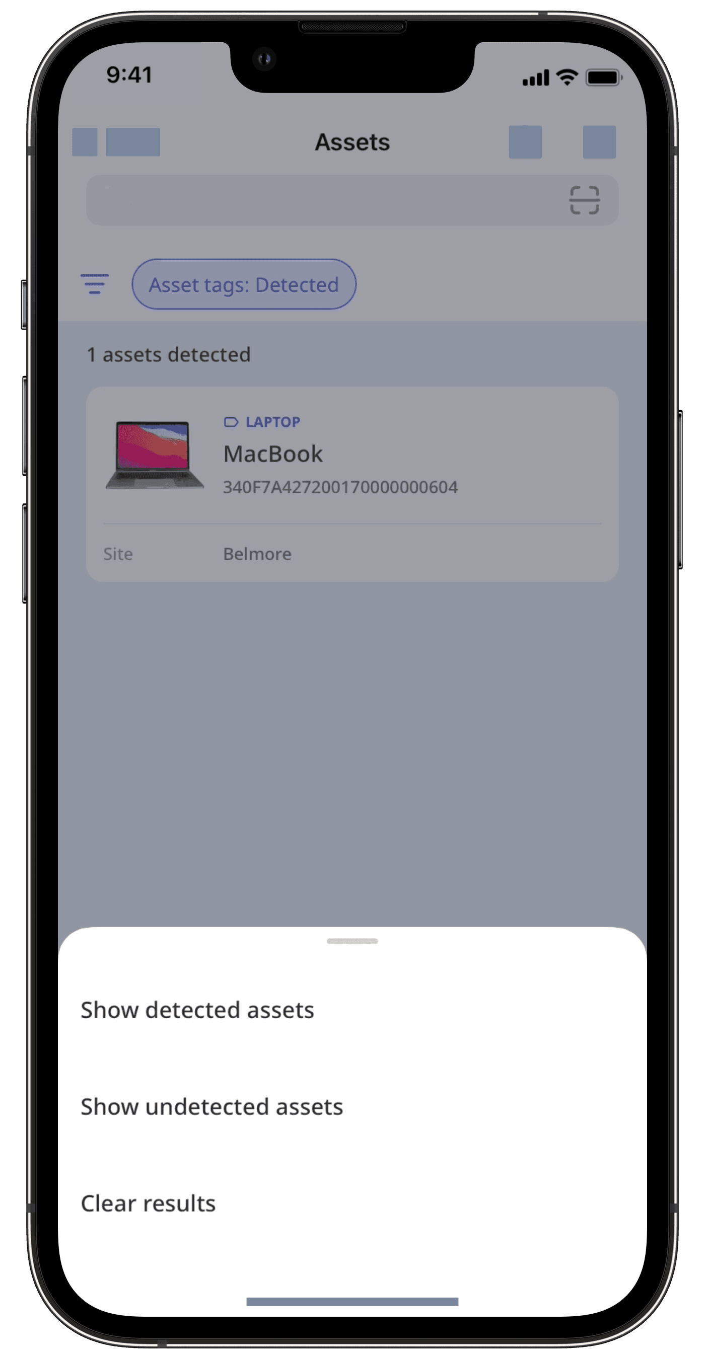 Show detected or undetected assets via the mobile app.