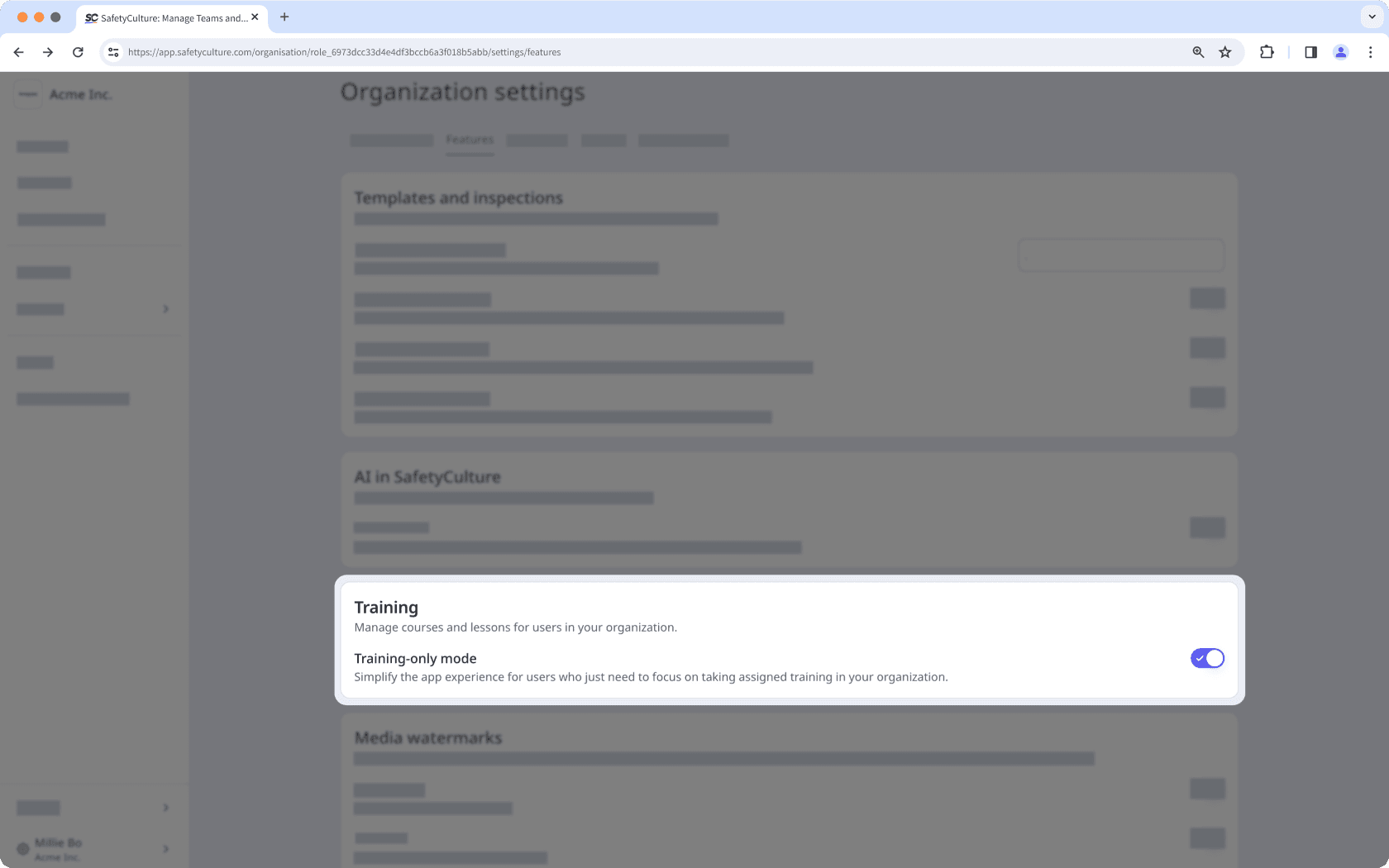 The Features tab in Organization settings with the setting to turn Training-only mode visible.
