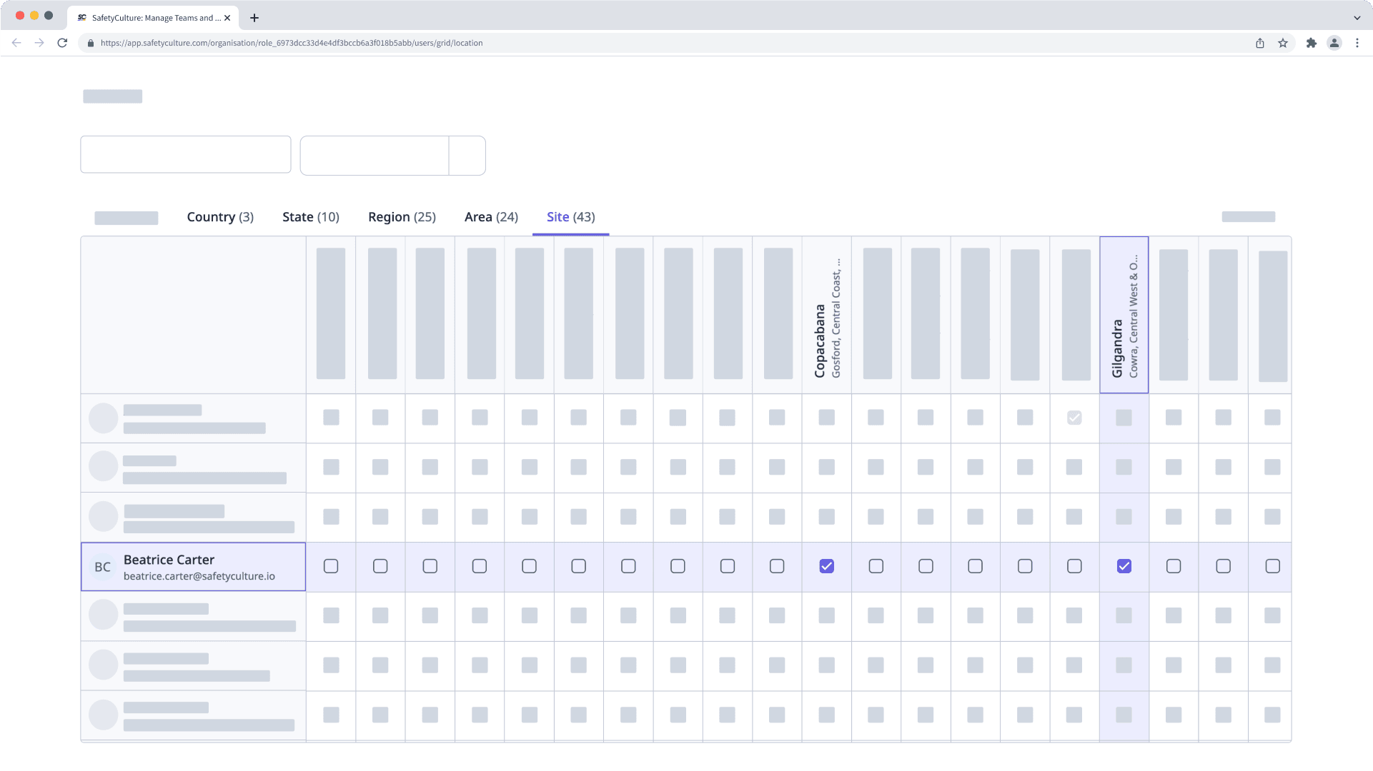 Bulk add or remove members from sites using the site matrix via the web app.