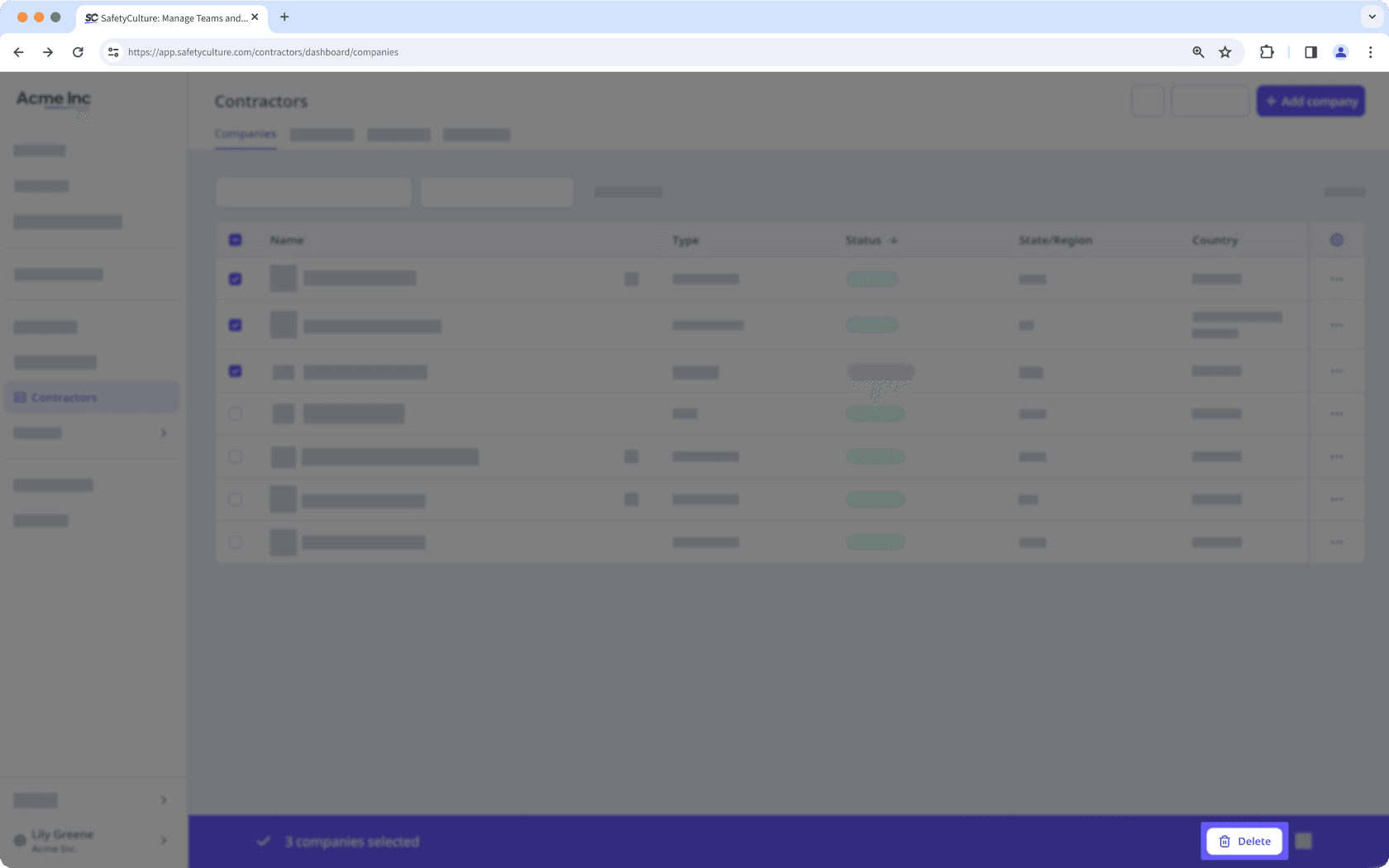 The Companies tab in the dashboard with the "Delete" button visible.