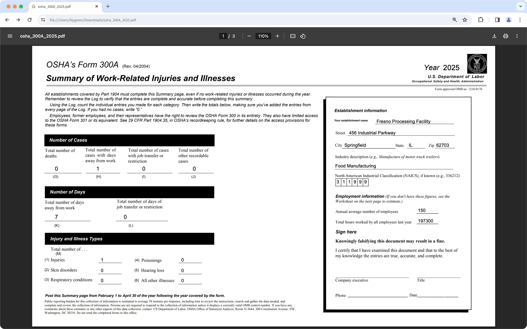 An example PDF of the OSHA Form 300A on the web app.