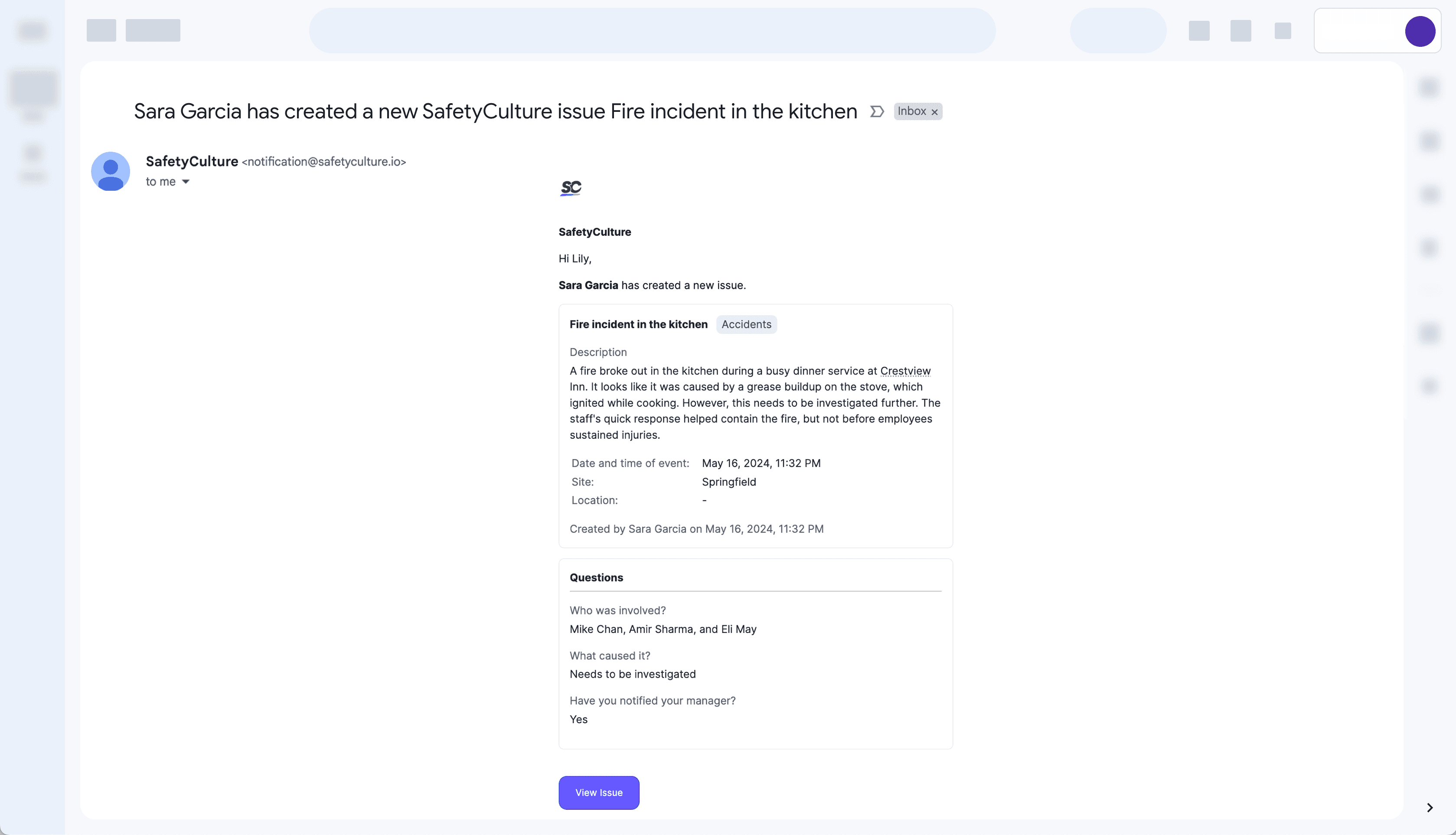 View Detailed issue email notification sample.