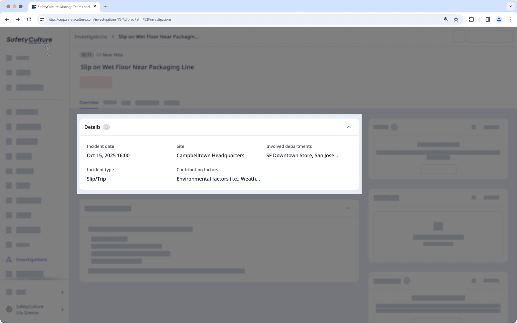 An example of detail fields in an investigation on the web app.