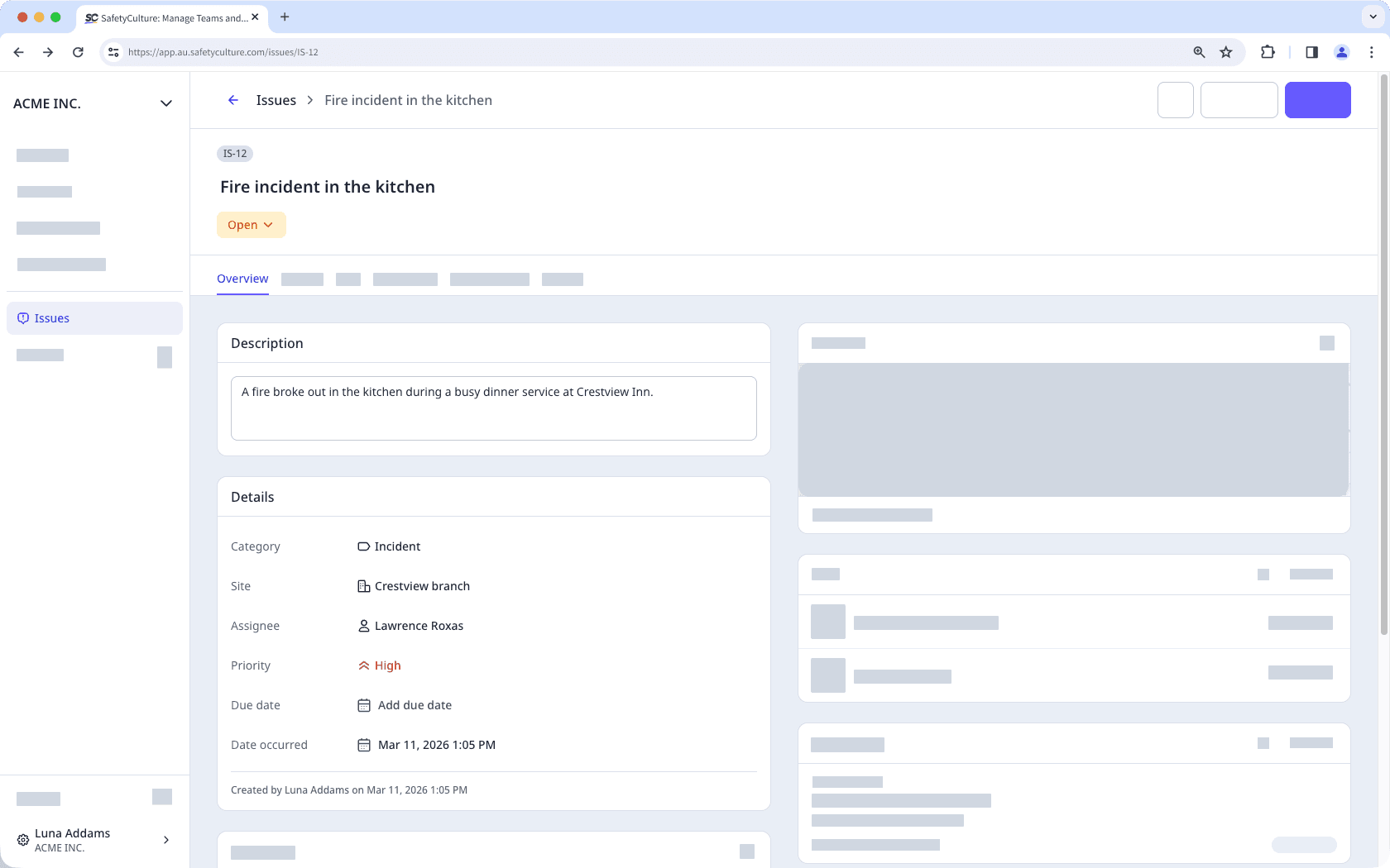 View the issue details via the web app.