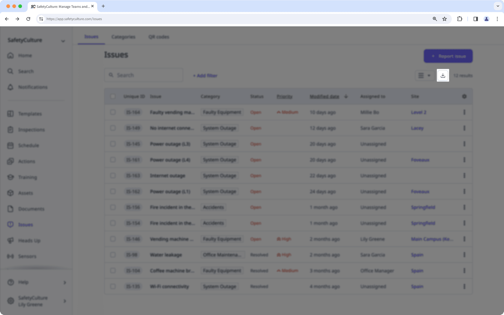 Download issues as CSV via the web app.